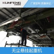 江苏无尘室行吊应用